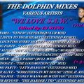 THE DOLPHIN MIXES - VARIOUS ARTISTS - ''WE LOVE  S.A.W.'' (VOLUME 8 )