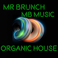 Organic House/Downtempo Mix Vol 13