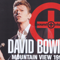 Bowie Live at Shoreline Amphitheatre Mountain View, May 28 1990
