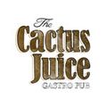 2015.01.03 Bárány Attilla Cactus Juice Pub_2ora