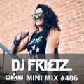 DMS MINI MIX WEEK #486 DJ FRIETZ