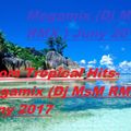 Boom Tropical Hits-Megamix (Dj MsM RMX ) Juny 2017