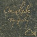 Osunlade - Pyrography In Motion