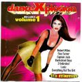 Dance Xplosion Megamix (Volume 1) (1996)