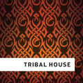 #161 Latin & Tribal House (June '11)