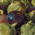 Time is Away: Fresh Figs - 19th February 2024
