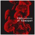Feel It Tonight (Original Mix)