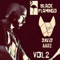 David Aarz presents Black Flamingo Vol.2 