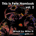 This Is Pete Namlook volume 2 mixed by Mike G