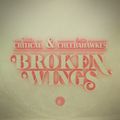 Mr. Critical vs Mr. Cheebahawkes - Broken Wings 