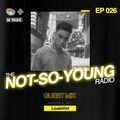 The Not-So-Young Radio 026 - Guest Mix by LouisVint