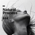Natural Process #44