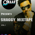 Best of Shaggy mixtape vol. 1 #Dj Naad #soulsootherfeetmover