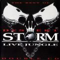 DESERT STORM LIVE - 01 - VARIOUS DJ & MC'S - 1994