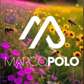 Marco Polo live on Fresh Soundz Radio 15-05-2023 (Organic/Afro/Progressive/Melodic House & Techno)