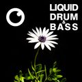 Liquid Drum and Bass Sessions  #35 [December 2020]