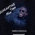 Quarantine Freestyle Vol 2 / Timbwa The Deejay
