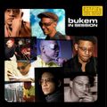 2013 - LTJ Bukem and Stamina MC - Bukem In Session - Continous Mix