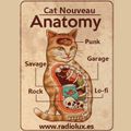 Cat Nouveau - episode #254 (25-01-2021)