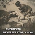 Superfuzz Reverberator # XXXIX