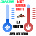 DJ Smitty - Cold Blends & Hot Summer Nights