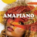 THE RISE OF AMAPIANO VOL 1 ( NEW AGE HOUSE MUSIC )