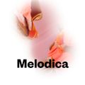 Melodica 5 February 2018