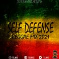 Self Defense Reggae Mix 2021 - Protoje, Lila Ike, Kofee, Romain Vigo, Busy Signal, Jahcure & More