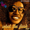 what the funk vol.11