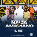 DJ Tibz - Naija & Amapiano Mixx (2022)