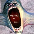Pink Floyd in Deep