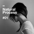 Natural Process #01