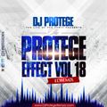 Dj Protege The Protege Effect Vol 18
