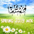 DJ Faydz - Spring 2019 Mix
