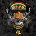 Special DUB mix for Radio Tiger & Дом Культур