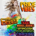 Pride Vibes (Tribal Underground House, Pop en Espanol, Circuit Remixes, Top 40 Remixes)