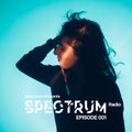 Joris Voorn presents: Spectrum Radio 001