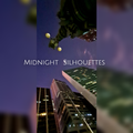 Midnight Silhouettes  5-8-22