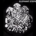 10/29/21: Elephant Steps