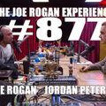 #877 - Jordan Peterson