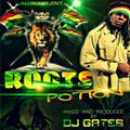 ROOTS POTION BY Dj Gates
