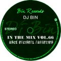 Dj Bin - In The Mix Vol.66