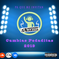 Mix Cumbias Pegaditas 2019 - Dj Ierzon (Pa Que Me Invitan)