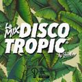 Discotropic mix by Jankev #32