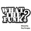 Ray Rungay What The Funk