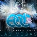Electric Daisy Carnival Las Vegas 2014 mix
