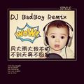 DJ BaDBoY REMIX 2015 vol：1（风大雨大我不怕 不到天亮不回家）