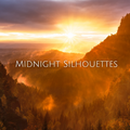 Midnight Silhouettes 3-26-23