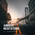 Ambient Meditations Vol 14 - Shiny Objects (OM Records)