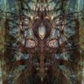 Alchimechanics - Goázis presents: Tariki Ritual w/ Necropsycho (BR) 2017.09.16.3:30. /Dj-Set/